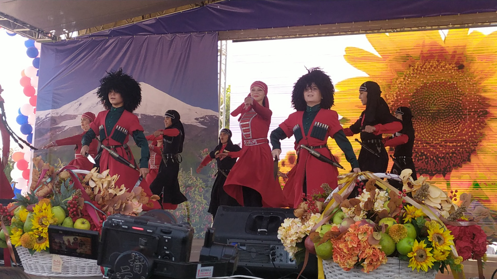 IMG_20231008_121337.jpg
